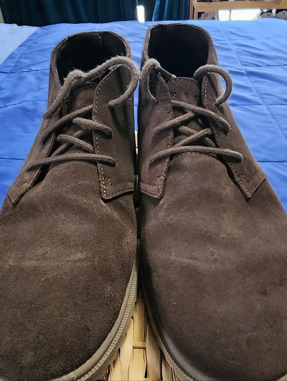 Men's REEF Leucadian Dark Brown Suede Chukka Boots - Lace-Up Casual